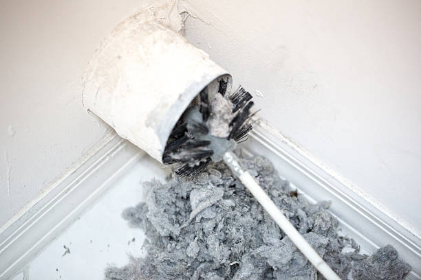 Air Duct Mold Removal in Dunlap, IL